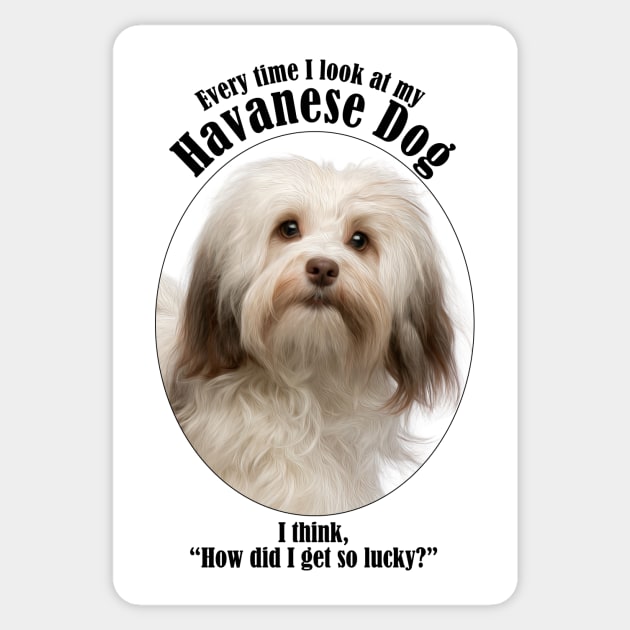 Havanese Dog Traits Sticker by You Had Me At Woof